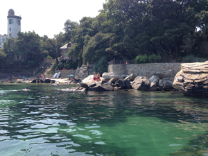 Plage de l'anse rouge